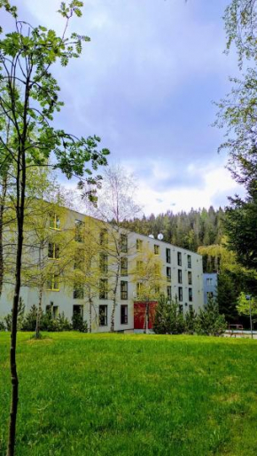 Plně vybavený apartmán v Harrachově pod Mumlavským vodopádem, ideální výchozí bod pro BĚŽKY a SKIALPY, kousek od SKIAREÁLU, vhodný i pro DĚTI, WELLNESS a fitko naproti